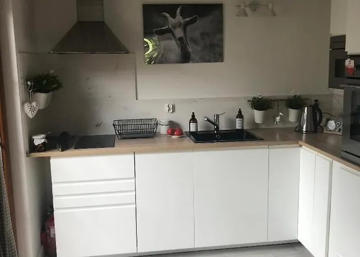 Kaszuby Czerwona Koza Barkocin